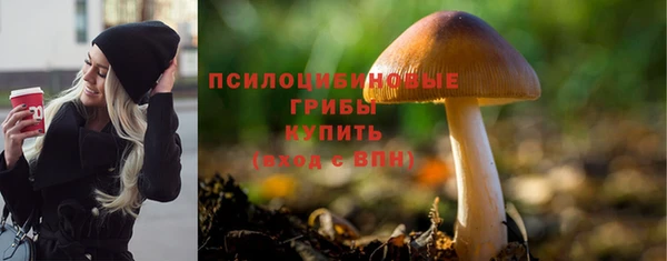 бошки Богородицк