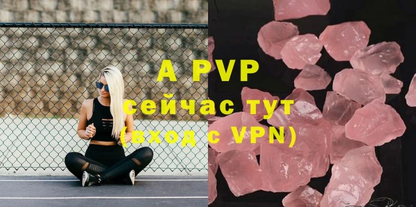 спиды Богданович