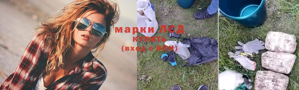 спиды Богданович