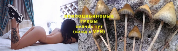 бошки Богородицк