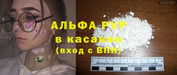 спиды Богданович