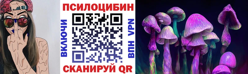 Псилоцибиновые грибы мицелий  как найти закладки  Демидов 